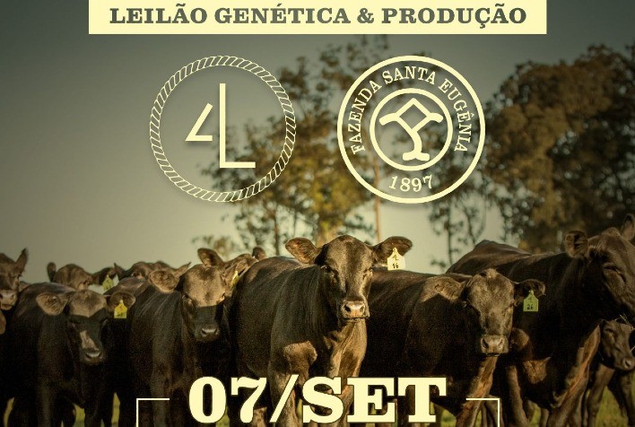 4 Linhas e Santa Eugênia levam genética Angus e Ultrablack às pistas da Temporada