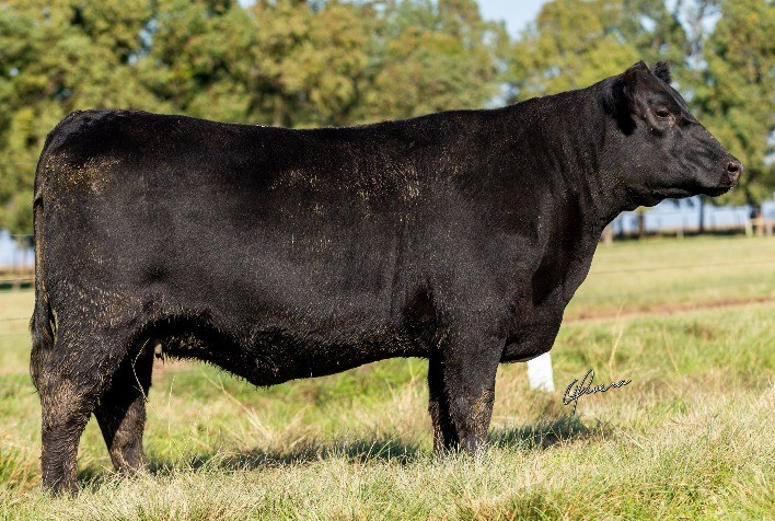 Disputa de heróis garante venda de R$ 2,7 milhões no Rincon Code