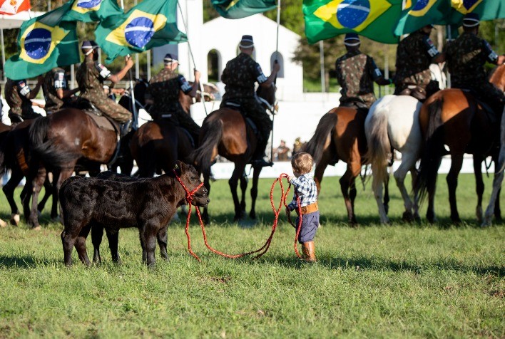 Angus debate evolução e caminhos para a gestão e sucessão na pecuária de corte