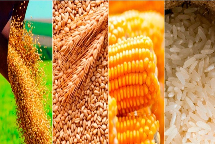 Com aumento de 12,7% na produção, Região Sudeste deve colher nesta safra mais de 27,14 milhões de toneladas de grãos