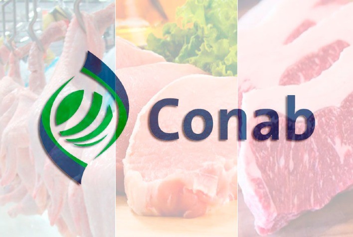 Para CONAB, consumo per capita das carnes de frango e suína registrará novo recorde em 2023