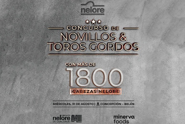 Paraguai integra o Circuito Nelore de Qualidade, em mais uma etapa internacional