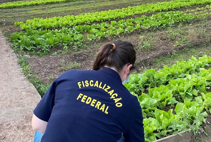 Operação Illusio se expande para o interior de SP e encontra venda irregular de orgânicos