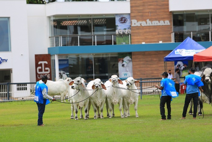 Inscrições com desconto para ExpoBrahman 2022 vão até 25 de setembro