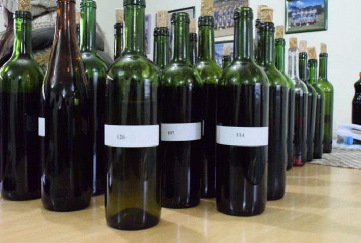 Agricultura de precisão ajuda a produzir vinhos diferenciados em SP