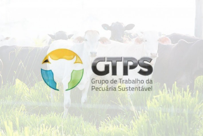 Uso do GWP* como métrica para emissões favorece a pecuária