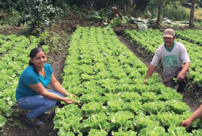 Relatório do IICA e do FIDA destaca contribuições significativas e desafios pendentes da agricultura familiar da América Latina e do Caribe às ações contra a mudança do clima