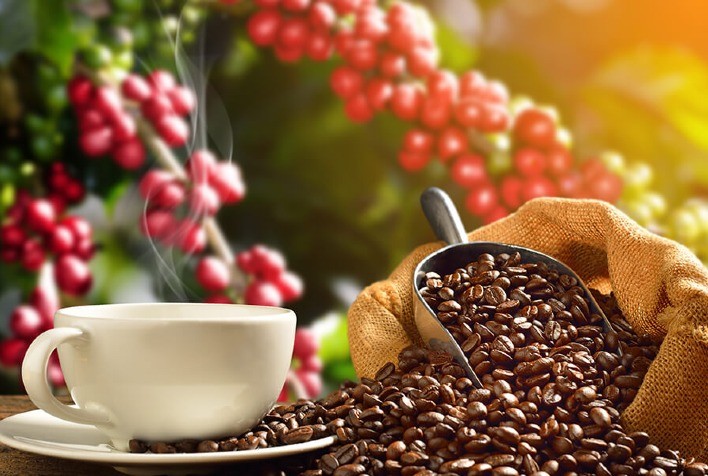 Volatilidade do café em NY traz cautela e lentidão no Brasil