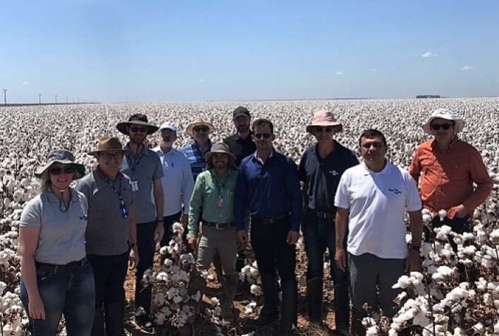 Embrapa irá fortalecer a presença e a atuação em rede no Matopiba