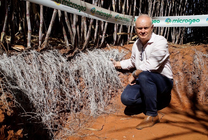 Tecnologia biológica alcança ganhos significativos de correção de perfil de solo em profundidade