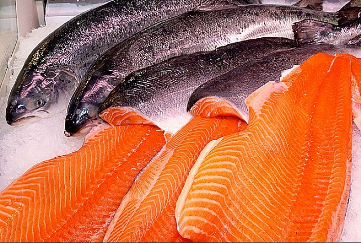 revistapazes.com - Especialistas alertam para peixe popular no Brasil que pode conter 70 parasitas e é o 'mais perigoso do mundo'