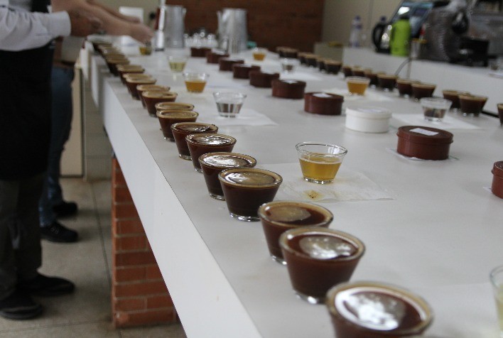Manhuaçu recebe mais de 600 amostras de café para o 6º Cupping ATeG -  Portal do Agronegócio