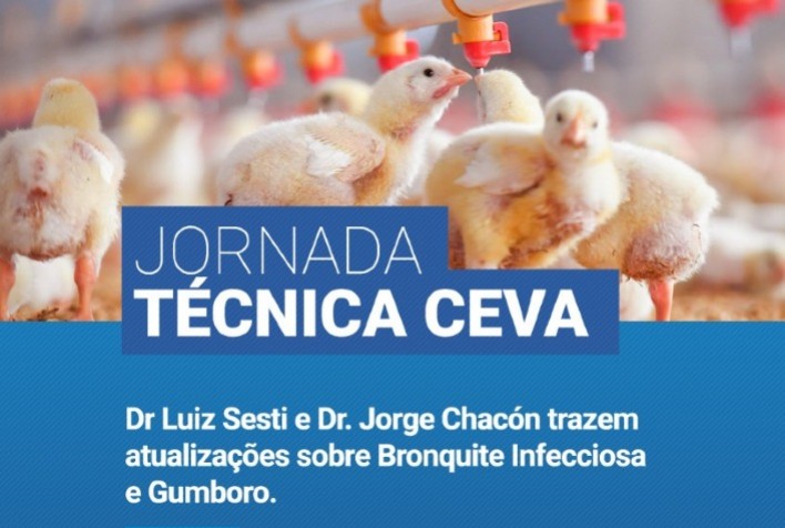 Jornada Técnica da Unidade Aves da Ceva Saúde Animal desembarcará em Maringá e Toledo