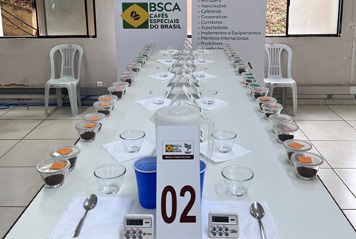 Café especial: Cup of Excellence 2022 define amostras classificadas para fase nacional
