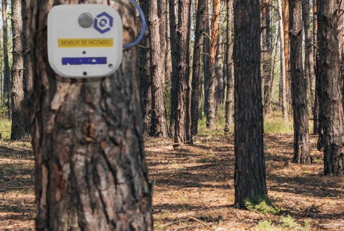 Detector de incêndio florestal pode ser primordial para evitar grandes queimadas