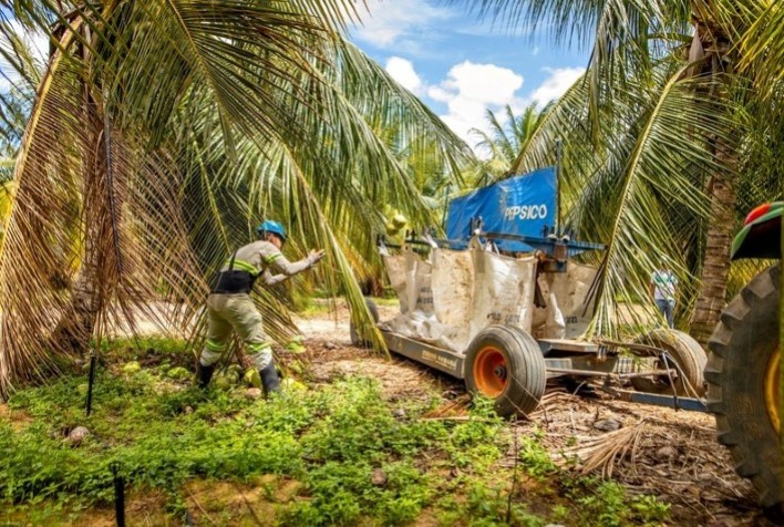 PepsiCo inicia cultivo de cacau em consórcio com coco-verde na sua fazenda de KERO COCO® em Petrolina (PE)
