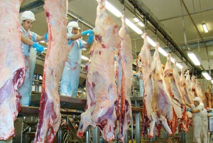 Mato Grosso abate 1,1 milhão de bovinos no segundo trimestre – Imea