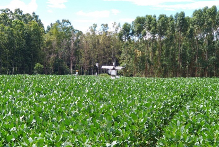 Plantio direto pode aumentar em 11% a eficiência do uso de água na cultura da soja
