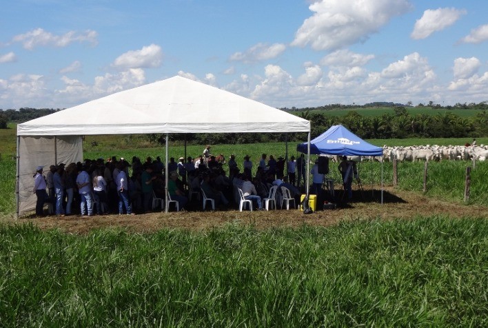 Dia de campo abordará transição da pecuária para lavoura na ILP