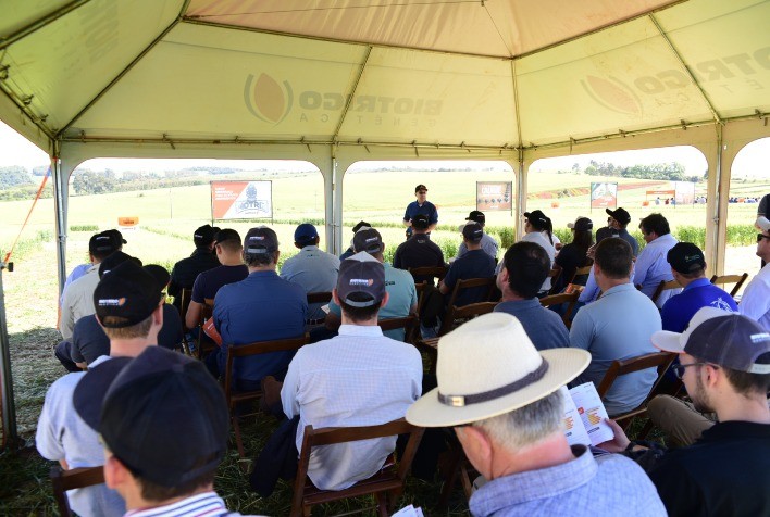 Trigos com maior rendimento e estabilidade são pauta de dia de campo