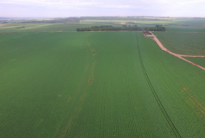 Inseticida para lagartas de difícil controle registra bons indicadores de adesão na safra 2021-22, informa empresa