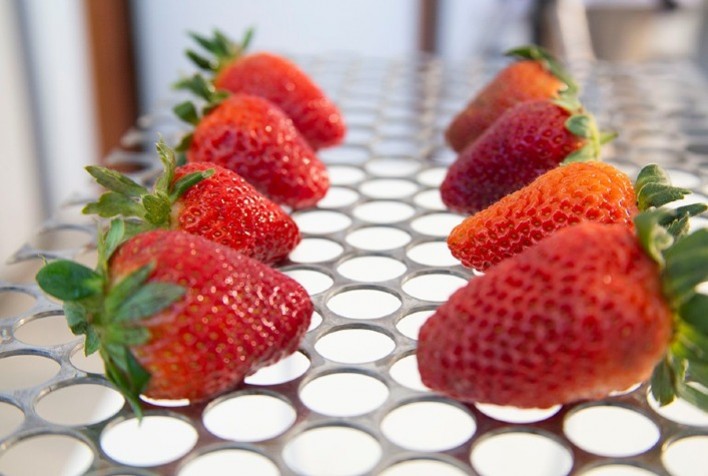 Revestimento à base de plantas prolonga vida útil do morango