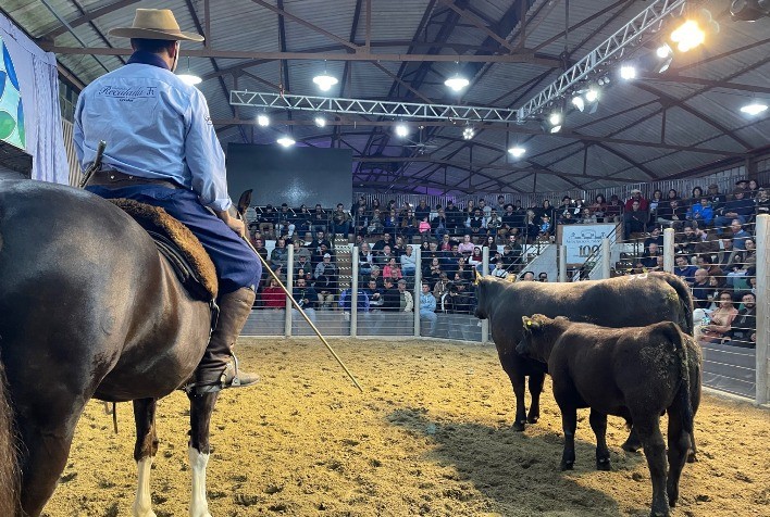 Recalada fatura R$ 1.107.000,00 em remate com pista limpa para Angus na Expofeira de Pelotas