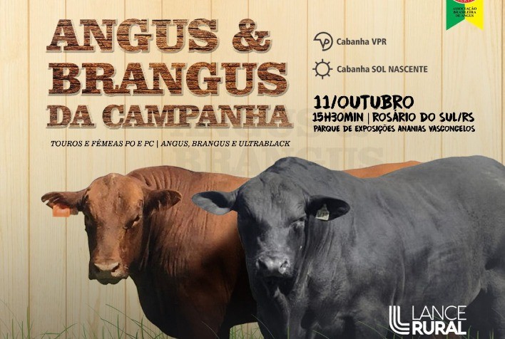 Leilão Angus e Brangus da Campanha vai disponibilizar touros e fêmeas Angus e Ultrablack em Rosário do Sul