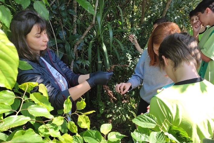 Dia Nacional do(a) Engenheiro(a) Agrônomo(a): qual o papel dos profissionais na qualidade da produção alimentar?