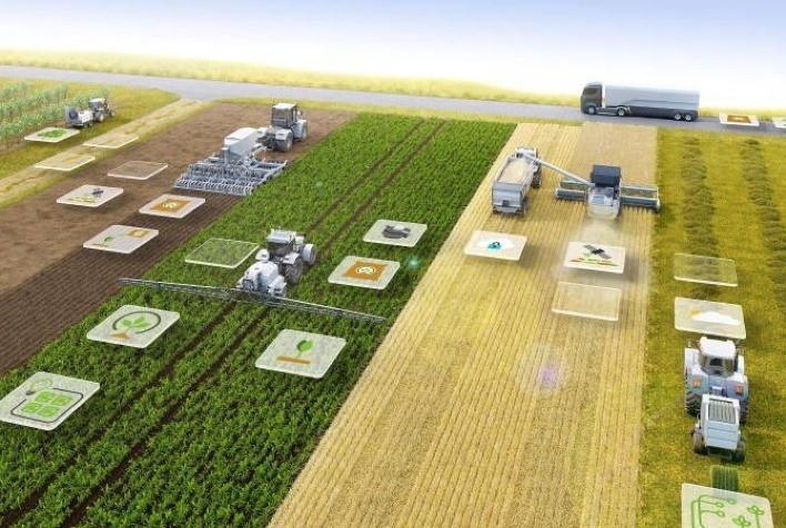 Falta de conectividade na área rural atinge 73% dos produtores