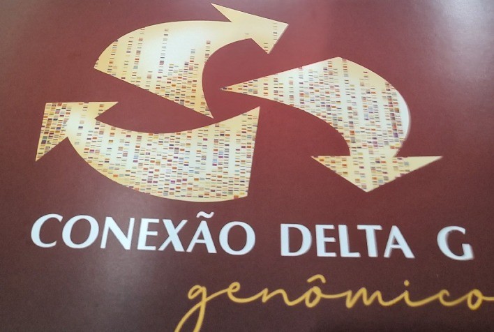 Dados de Sumário de Touros auxiliam na produção de carne de qualidade