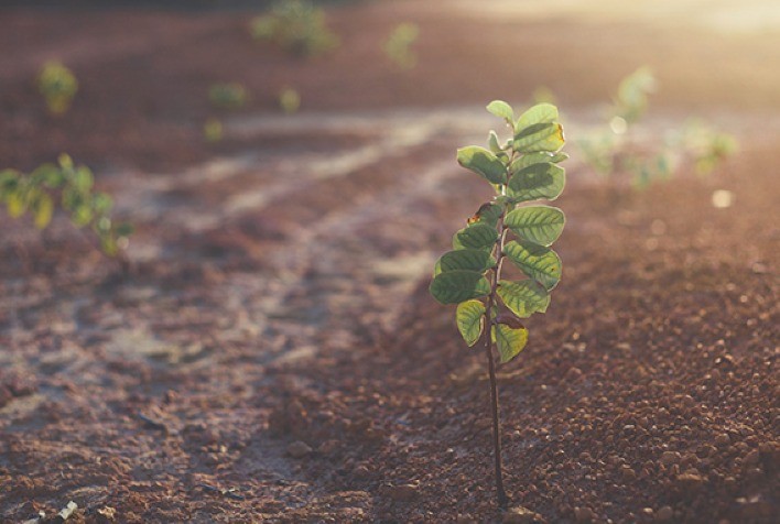 Tecnologias de combustão podem gerar CO2 praticamente puro para ser estocado ou reutilizado