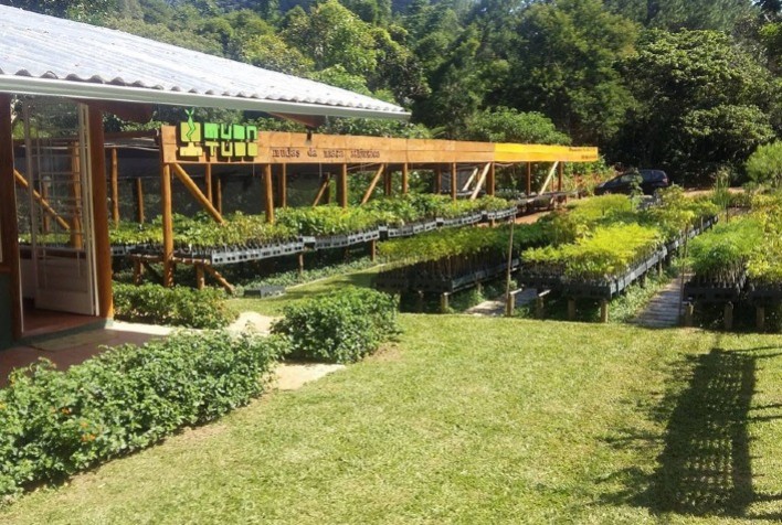 Estudo aponta retração na produção de mudas de espécies florestais no RJ