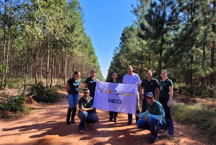 Empresa de ativos florestais adota SAP Business One