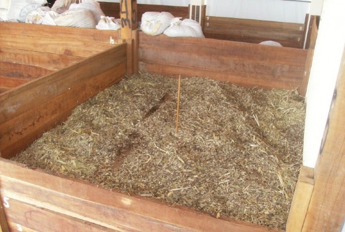 Técnica transforma carcaças de caprinos e ovinos em adubo orgânico