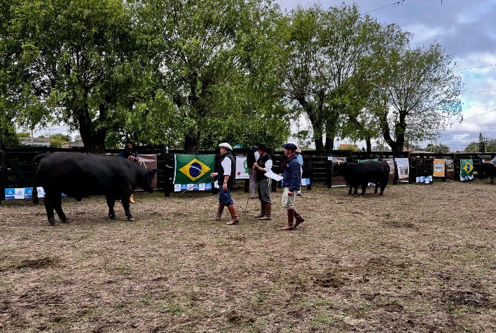 Três Marias, Tradição e Passo Comprido levam grandes campeonatos de Santa Vitória do Palmar (RS)
