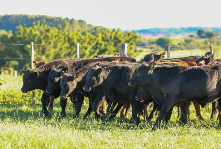 Sustentabilidade pauta participação da SIA no Universo Pecuária