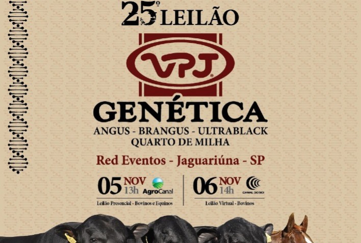 VPJ celebra 30 anos de seleção Angus com oferta de alta genética