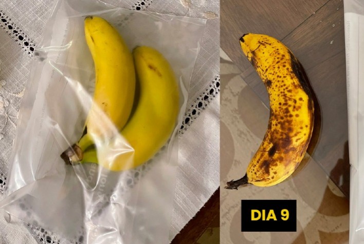 Plástico desenvolvido para embalagens de produtos vegetais prolonga o seu frescor