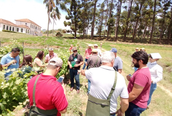 Produtores da Zona da Mata visitam vinícolas em Caldas e Andradas