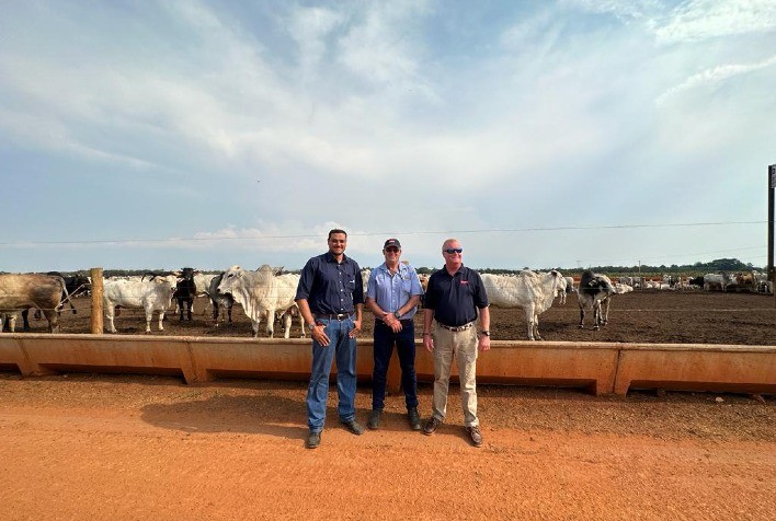 Especialistas discutem o aumento da eficiência na produção de silagem durante evento em MT