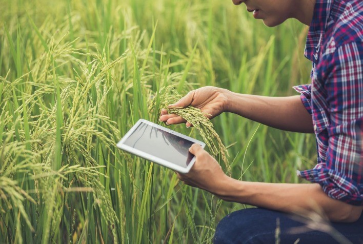 AIO  Um Agricultor Buscando O Aumento Da Produtividade De