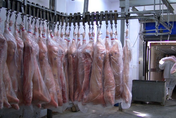 Exportações de carne suína alcançam 98,6 mil tons em outubro