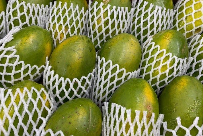 Mamão: volume exportado está 20% menor na parcial do ano