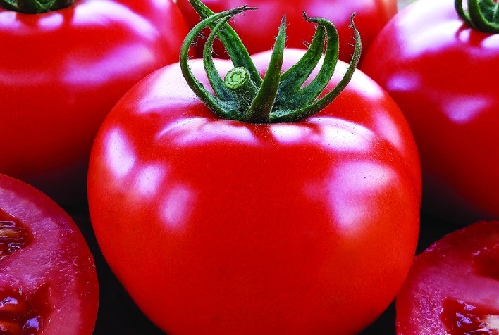 Preço do tomate dispara em outubro