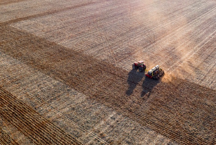 Plantio de soja 2022/23 atinge 74% da área no Brasil; seca no Centro-Oeste preocupa
