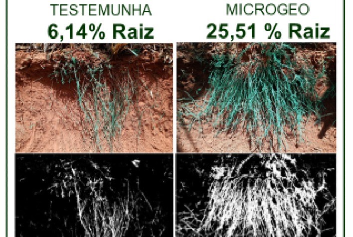 Biotecnologia Microgeo® é assunto do 5º Seminário UDOP de inovações