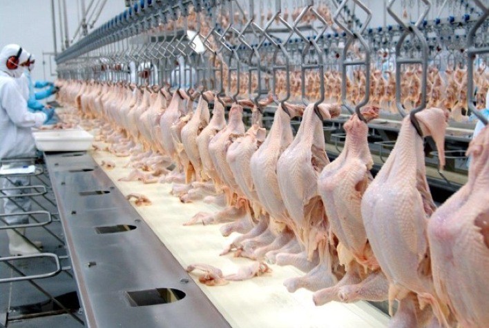 Carne de frango exportada pelo Brasil em 12 dias úteis vai a 72% do volume total exportado em novembro/21