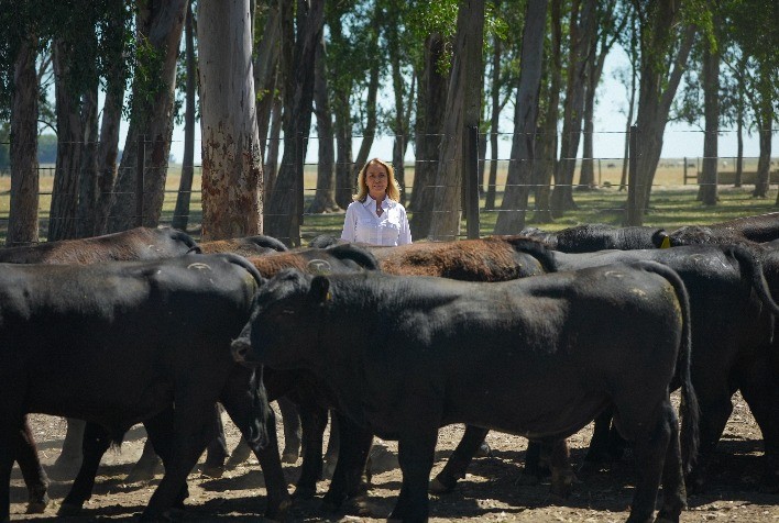 Mariana Tellechea assume Angus com foco na pecuária sustentável e na expansão da genômica