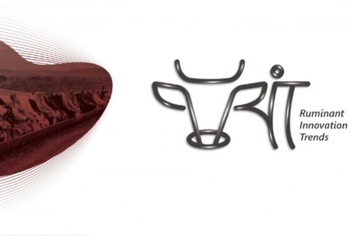 RIT - Ruminant Innovation Trends, evento global promovido pela ICC, apresenta inovações e tendências em nutrição de ruminantes com o uso de soluções naturais
